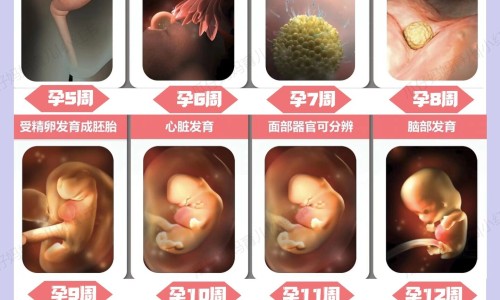怀孕6个月检查胎位不正怎么办-怀孕6个月检查胎位不正怎么办、怎样查看六个月胎儿b超能看出是儿女儿还是男孩 -6个月如何分辨是否胎位低网